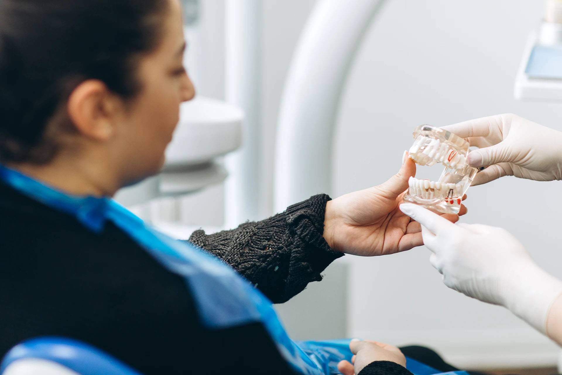 Dentist showing a transparent dental model of the jaw to a seated patient during a consultation